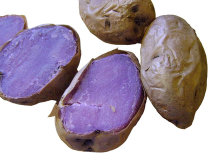 Votaniki (8 Pack) Adirondack Blue Potato Tuber Seedling - Nutty Flavor, High Harvest Potato | Adirondack Blue Potato