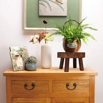 Wood Potted Plant Stand, Solid Wood Mini Stool Display for Vintage Round Rack Flower Pot Holders