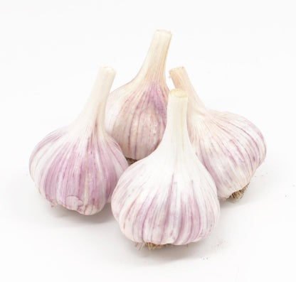 Fresh garlic Bulbs 4 Bulbs Gourmet Chesnok Red Garlic Hard Neck - - Garlic To Plant For Fall Planting - Non-GMO Organic