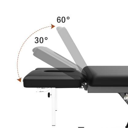 Dolonm 2 Motors Electric Massage Table, Hydraulic Electric Lift Adjustable Waist and Height Lifting Functions for Treatment, Physical Therapy, Spinal Massage, Facial Spa, Waxing, Tattooing - Black