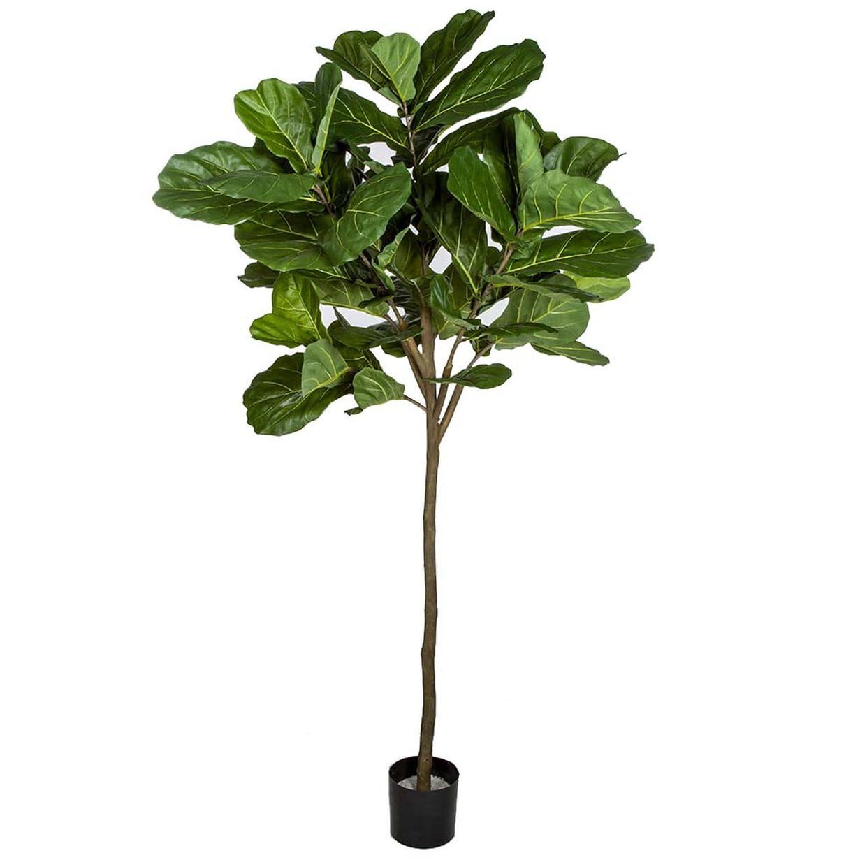 SilksAreForever 7' IFR Silk Fiddle Leaf Fig Tree w/Pot -Green