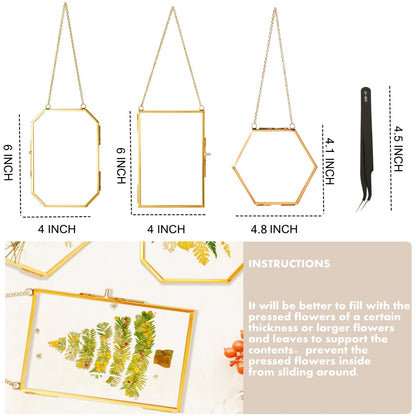 IcosaMro 3 Pack Double Glass Frame for Pressed Flowers 4"x 6" Adult Craft Kits with Brass Glass Frames & 4 Sheets Pressed Flower, Window Hanging Wall Decor Frame for Dried Flowers Leaves Plants