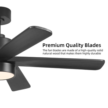 WINGBO 48 Inch DC Ceiling Fan with Lights and Remote Control, 5 Carved Solid Wood Blades, 6-Speed Noiseless Reversible DC Motor, Indoor Ceiling Fan in Matte Black Finish with Black Blades