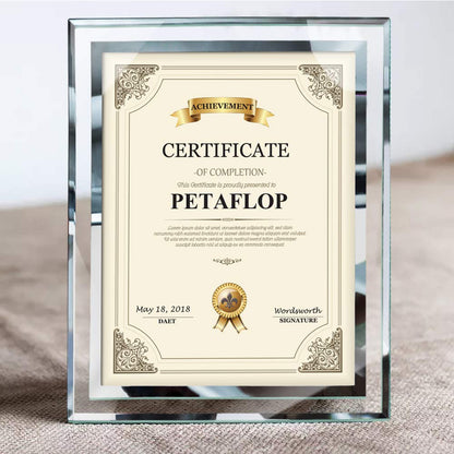 PETAFLOP 8.5x11 Picture Frames Glass 8.5 x 11 Frame Tabletop Display, 2 Pack clear