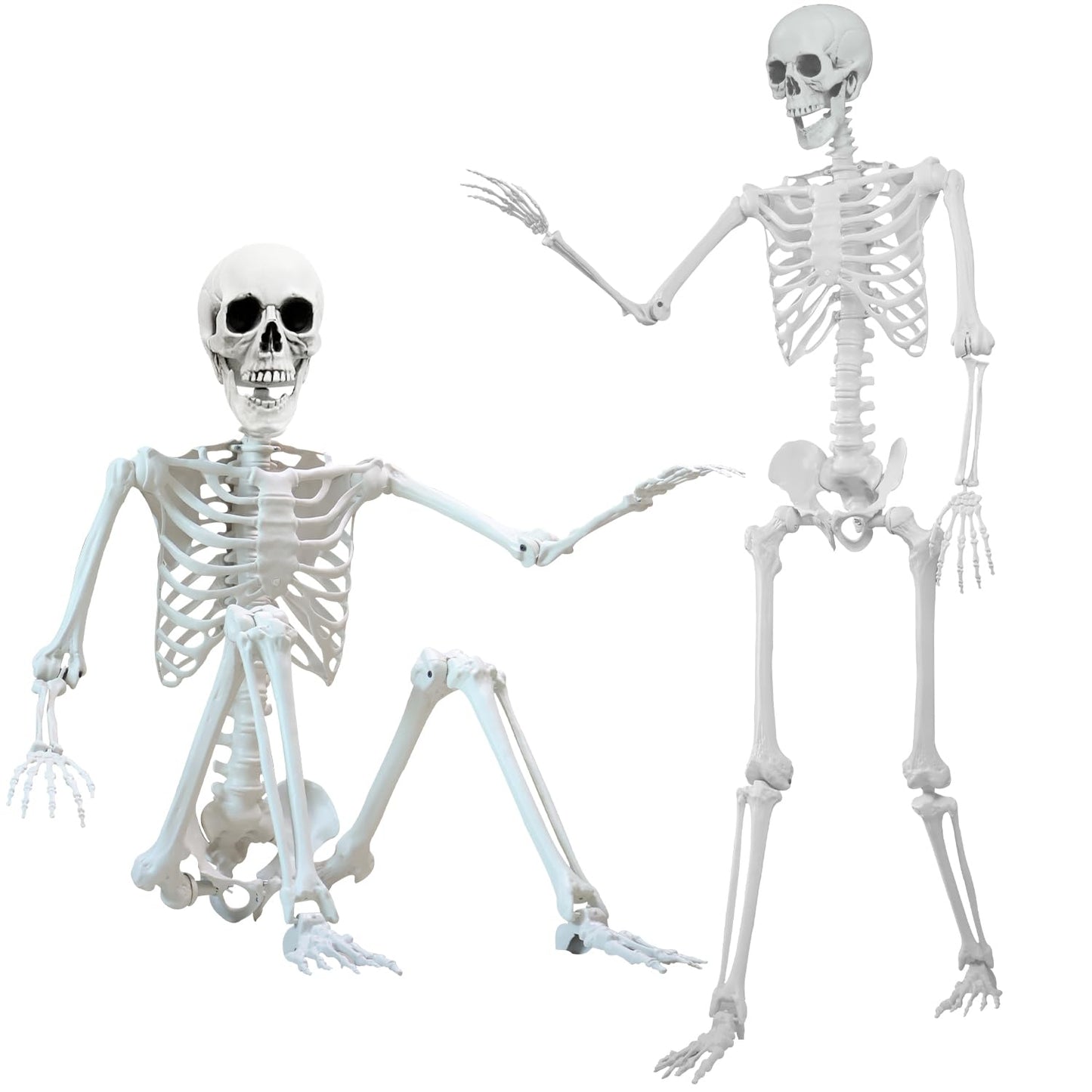 5.4 ft Halloween Skeleton Poseable Skeleton Life Size Skeleton Full Body Plastic Human Bones Standing Human Skeleton with Posable Joints for Halloween Decoration（1PCS