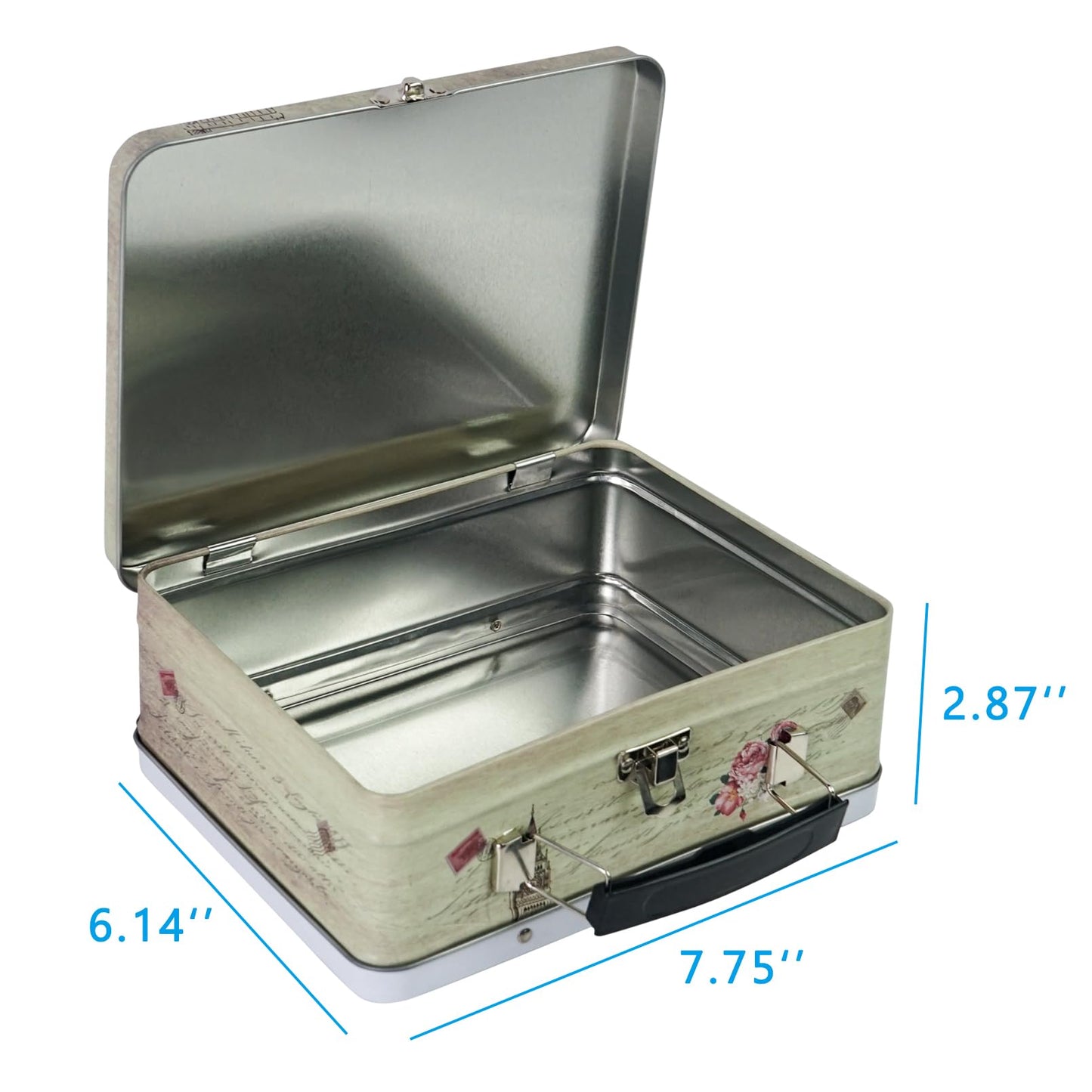 DreamsEden Luwint Tin Storage Boxes with Handle Small Metal Fun Box Cute Sturdy Tin Box Decorative Keepsake Case with Lid, Set of 2