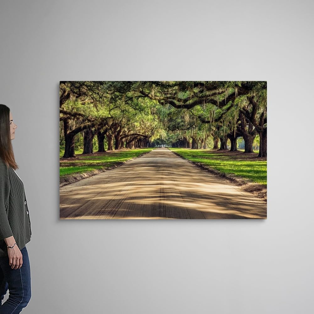 CANVAS ON DEMAND Oak Tree Lined Road At Boone Hall Plantation, Charleston Canvas Wall Art Print by Scott Stulberg, Home Decor, United States Artwork,60" x40in