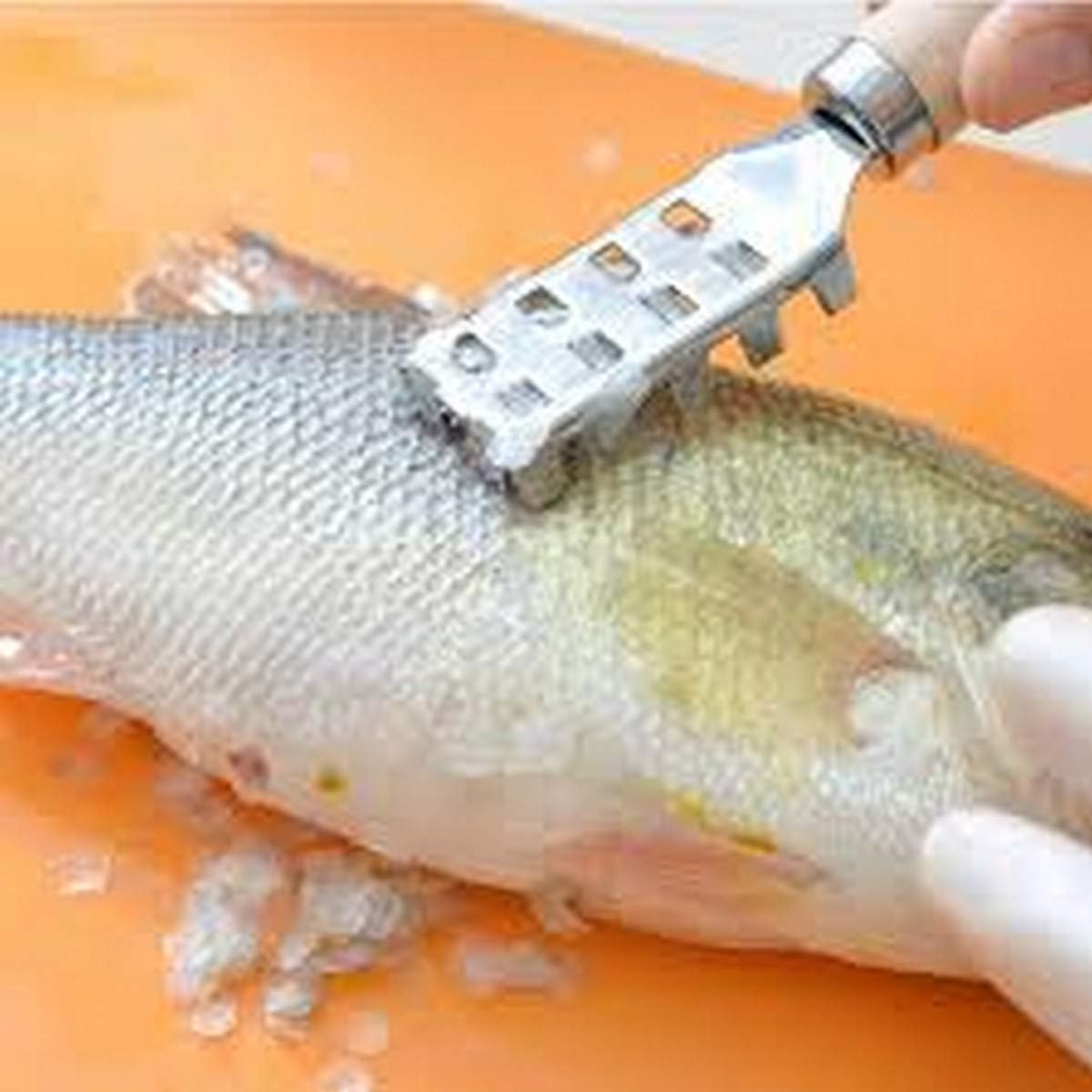 1885, JapanBargain Fish Scaler Scale Remover Tool Seafood Fishing Cleaning Tool