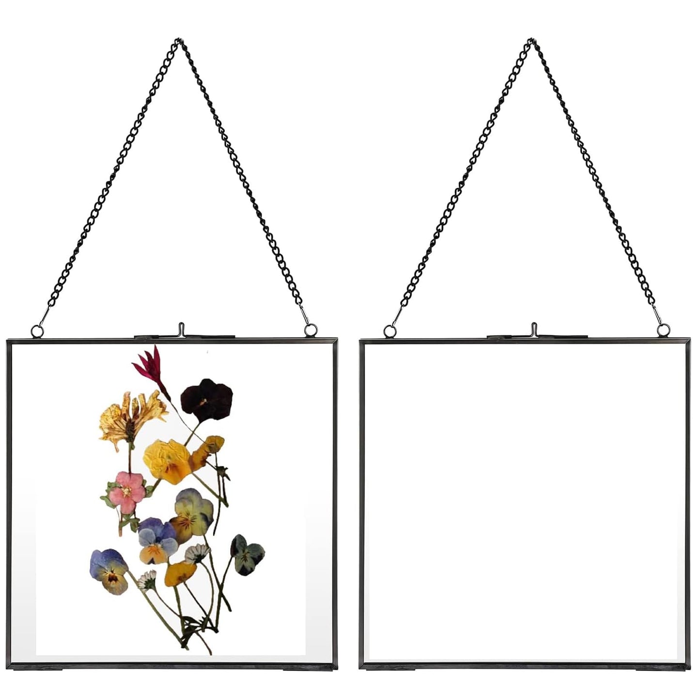 JUXYES 2 Pack Square Wall Hanging Brass Frames for Pressed Flowers, Double Glass Hanging Picture Artwork Display Frame, Black Floating Style Gallery Wall Frame for Picture, Poster, etc