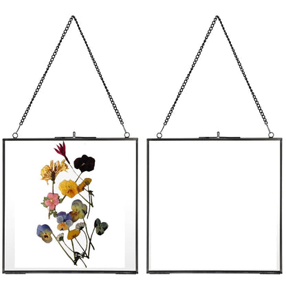 JUXYES 2 Pack Square Wall Hanging Brass Frames for Pressed Flowers, Double Glass Hanging Picture Artwork Display Frame, Black Floating Style Gallery Wall Frame for Picture, Poster, etc
