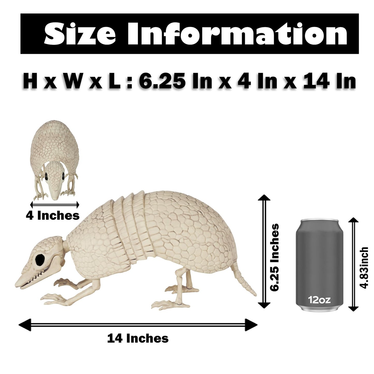 JUST FOR PARTY Armadillo Skeleton Halloween Decorations, 14"x4"x6.25", Rotatable Head and Openable Mouth, Resistant Plastic Armadillo for Fall Graveyard Haunted House Party Indoor and Outdoor Decor