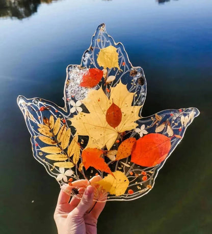 TrendCart 301Pcs Multi-Style Dried Pressed Flowers & Leaves (10 Packs) - Pressed Flower for Crafts, Resin, Nail Art, Candle, Soap, Scrapbooking & Frame Decor