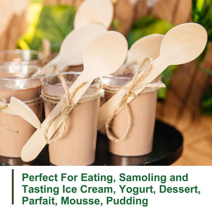 LotFancy Disposable Wooden Spoons, 250Pcs 6.25 inch Wood Cutlery Spoons, Biodegradable Compostable Eco-friendly Birchwood Sampling Tasting Spoons