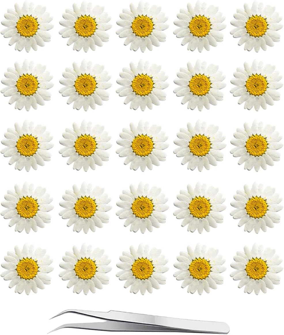 YouthBro 60Pcs White Dried Daisy Pressed Flowers Set for Resin DIY Jewelry, Candle, Soap, and Art Craft