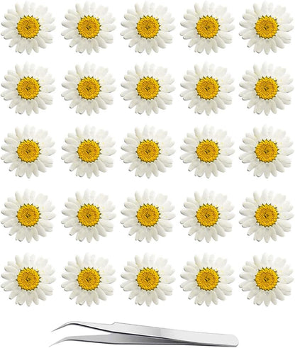 YouthBro 60Pcs White Dried Daisy Pressed Flowers Set for Resin DIY Jewelry, Candle, Soap, and Art Craft