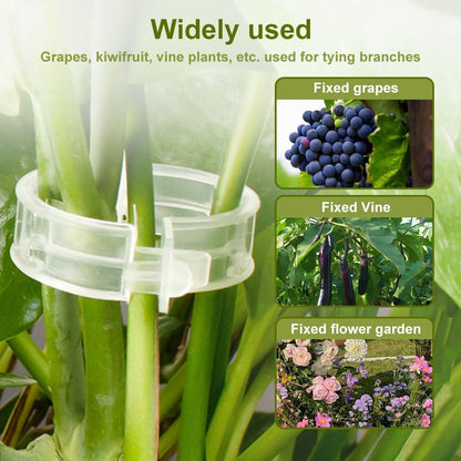 Skiennix Plant Support Clips - Reusable Green Clips for Tomato & Climbing Plants | 50 Pack