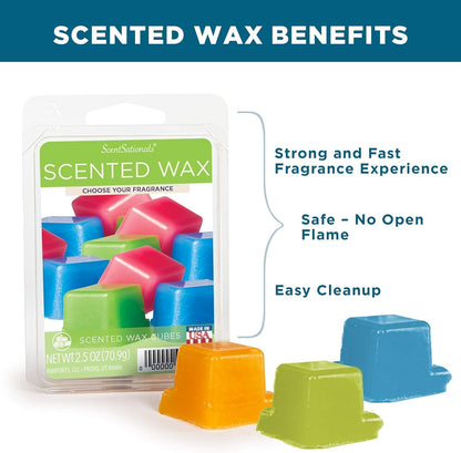 Scentsationals Wax Melts - Beach Please, Long Lasting Scented Melts for Warmer, 10oz (24-Cubes)