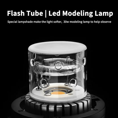 Godox AD400 Pro AD400Pro Outdoor Flash Strobe, Portable 400Ws 2.4G TTL 1/8000 HSS Monolight, 0.01-0.9s Recycle, 30W LED Modeling Lamp, GODOX AD 400 Pro with Rechargeable Battery & Bowens Mount