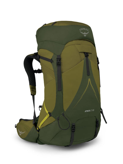 Osprey Atmos AG LT 65L Men's Backpacking Backpack, Scenic Valley/Green Peppercorn, L/XL
