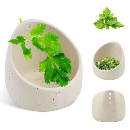 Trasylph Pottery Herb Stripper Bowl, Upgrade Handmade Ceramic Herb Peeling Bowl, Different Round Hole Sizes Suitable for Peeling Off The Leafy Assembly(COLOR:White)