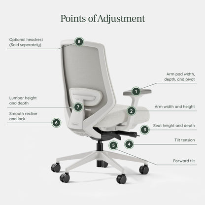 Branch Ergonomic Chair Pro - Mesh Office Chair with 14 Points of Adjustment - Height, Depth & Tilt Adjustable - 5D Armrests - Forward Tilt, Smooth Recline, and Lumbar Support - Shore
