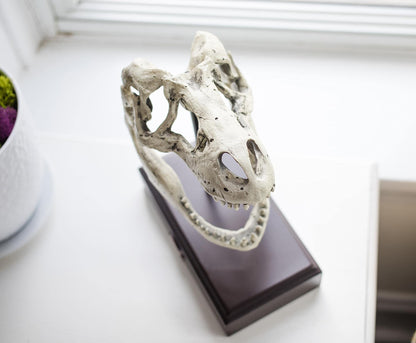 Jurassic World Tyrannosaurus Rex Skull Resin Replica - 9x8-Inch TRex Dinosaur Head Statue - Realistic Model Skeleton Decoration - Home & Office Decor, Shelf Display - Decorative Dino Fossil Sculpture