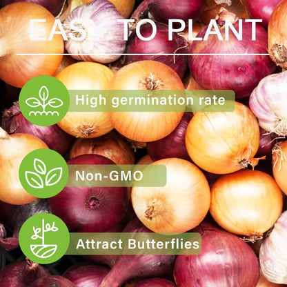 30+ Onion Vegetable Seeds for Planting Outdoors Garden Heirloom Non-GMO
