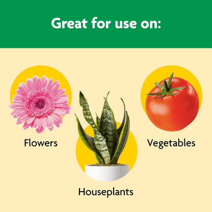 Miracle-Gro Shake 'N Feed All Purpose Plant Food - Feeds Indoor & Outdoor Plants for 3 Months | 8 lbs.