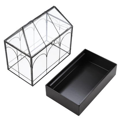 HighFree Glass Terrarium with Metal Tray, Glass Greenhouse Terrarium Kit for Succulents, Cacti, Snails, Spiders, and Miniature Reptiles, Black (Large-9.45" L x 5.7" W x 11.8" H)