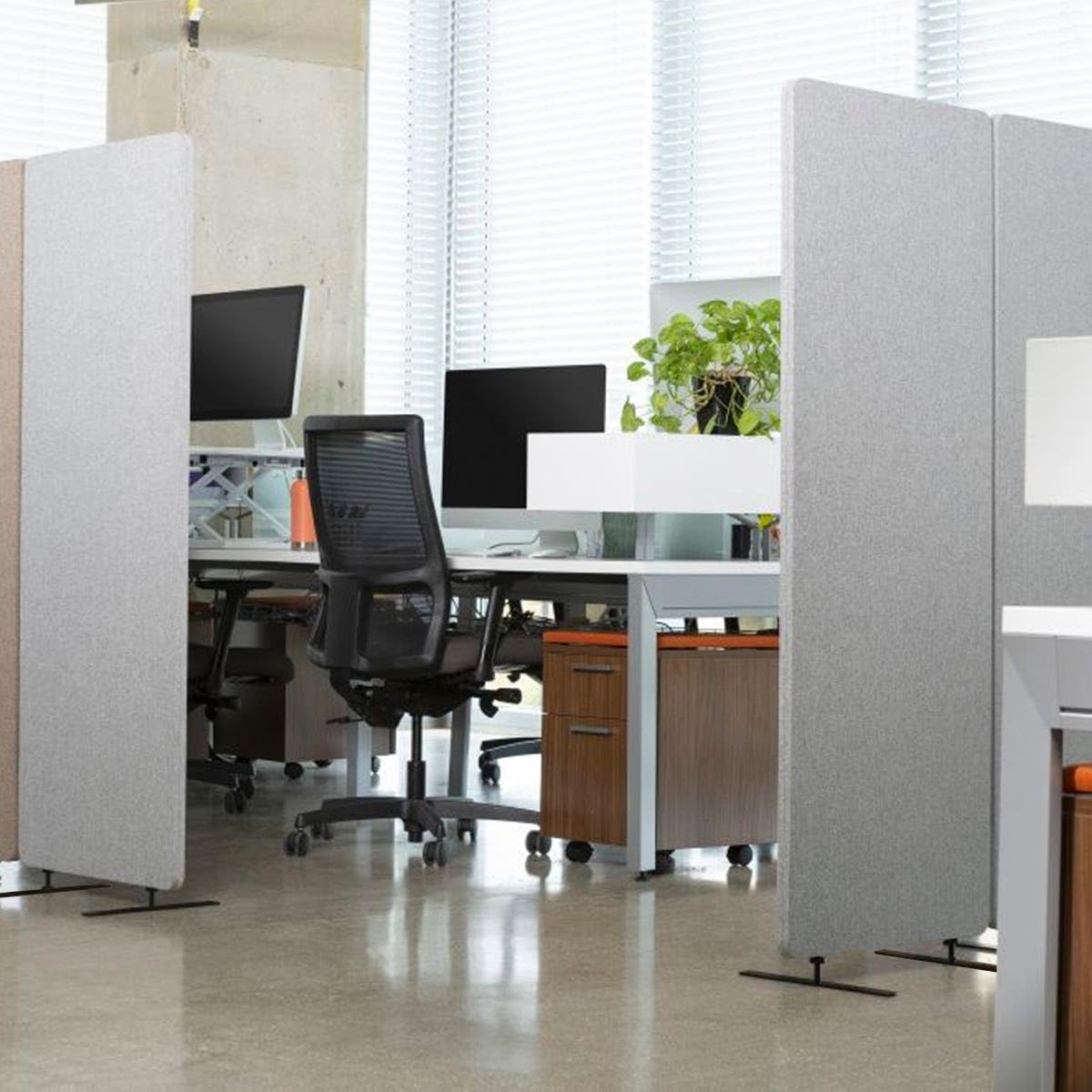Stand Up Desk Store ReFocus Freestanding Noise Reducing Acoustic Room Wall Divider Office Partition (Cool Grey, 72" x 66", Zippered 3-Pack)