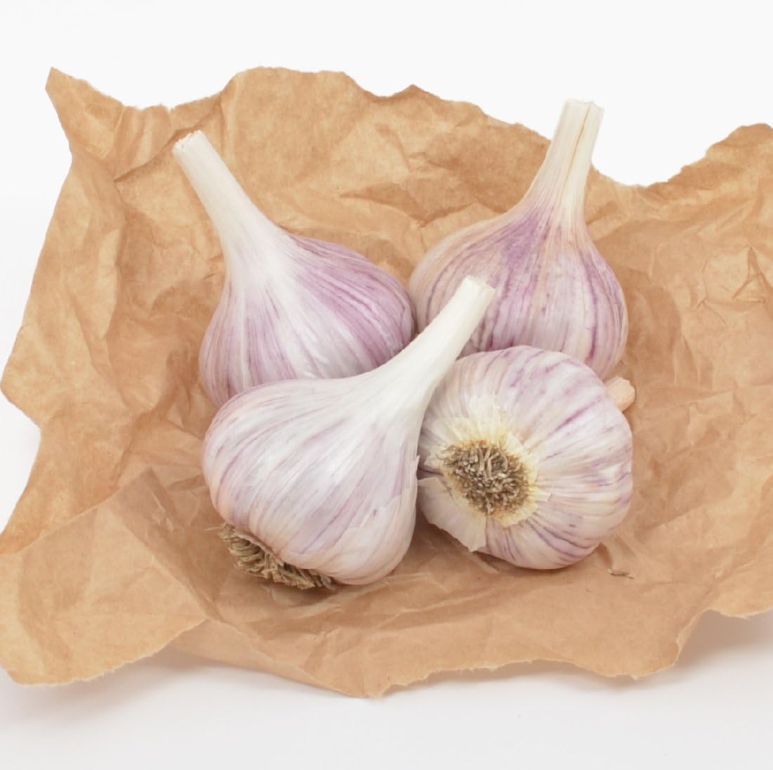 Fresh garlic Bulbs 4 Bulbs Gourmet Chesnok Red Garlic Hard Neck - - Garlic To Plant For Fall Planting - Non-GMO Organic