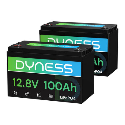 Dyness 12V 100Ah LiFePO4 Lithium Battery (2 Pack) BCI Group 31 with Low-Temp Protection, A+ Grade Cell Built-in 100A BMS, 12 Volt Lithium Battery Perfect for RV, Solar System, Off-Grid, Home Energy