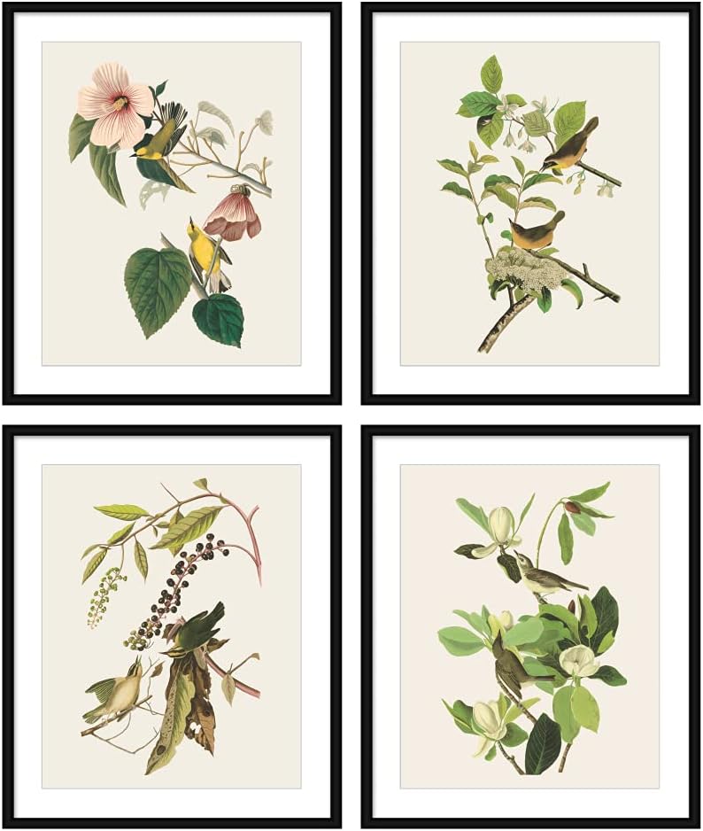 Bestbuddy Set of 4 Unframed Robin Birds Botanical Prints - Antique Tropical Birds Flowers Illustration Wall Art