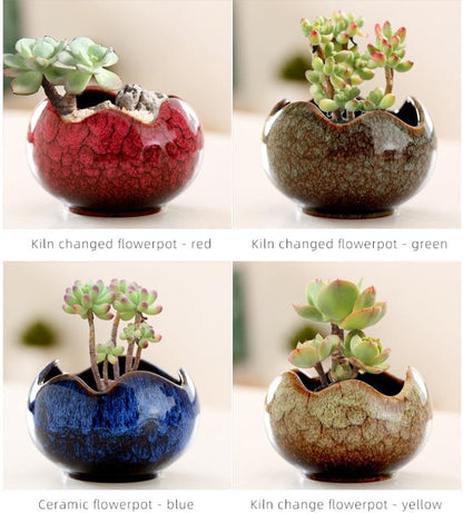 YYW Succulent Pots - 4 Pcs Ceramic Planters in Egg Broken Shell Design with Drainage Hole for Home Office Outdoor Decor