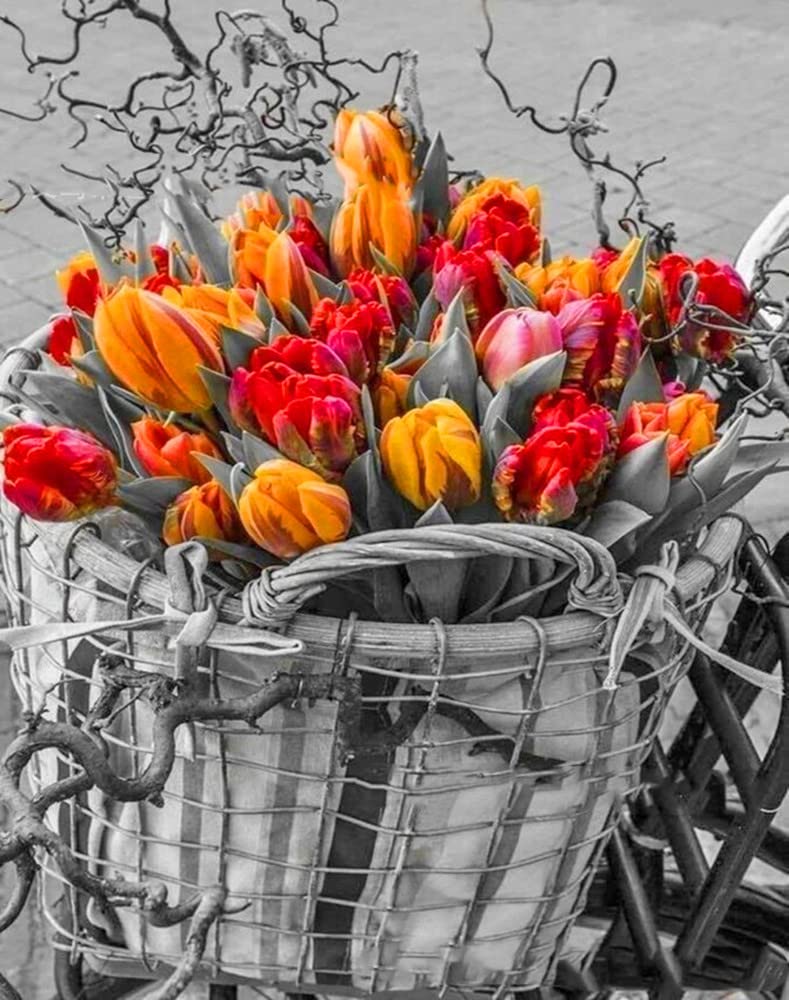 MMAHD 5D DIY Diamond Art Painting Kits for Adults,Flower Full Drill Embroidery Paintings Rhinestone Pasted DIY Painting Cross Stitch Arts Crafts for Home Wall Decor 11.8×15.8Inches