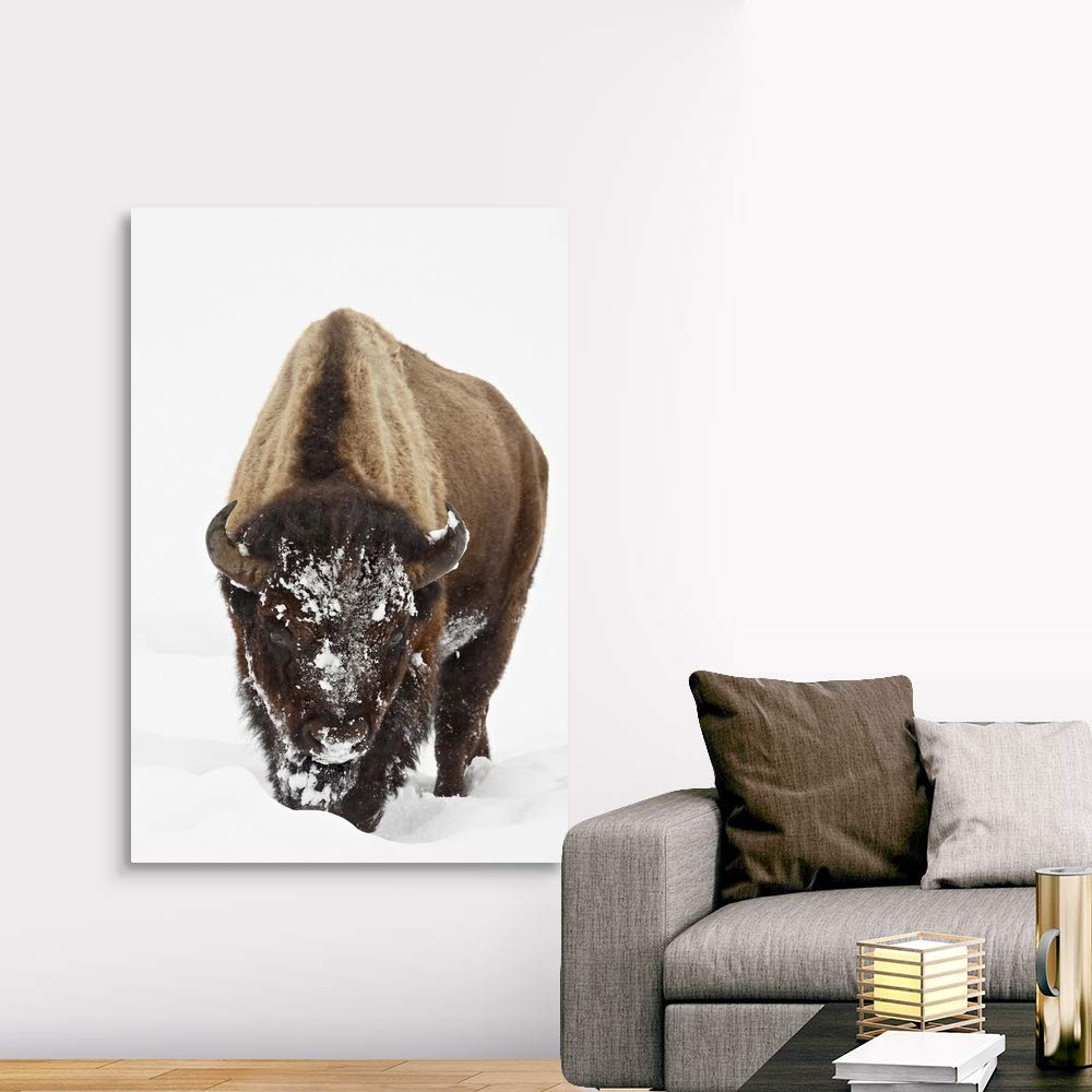 CANVAS ON DEMAND Bison in Snow, Yellowstone National Park, Wyoming Canvas Wall Art Print by James Hager, Home Decor, Wildlife, Winter Artwork,40" x60in