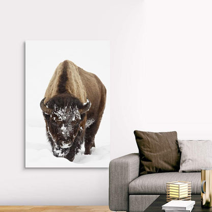 CANVAS ON DEMAND Bison in Snow, Yellowstone National Park, Wyoming Canvas Wall Art Print by James Hager, Home Decor, Wildlife, Winter Artwork,40" x60in