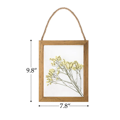 NIKKY HOME Dried Flowers Grass Wall Art Set of 2 Natural Plant Artwork with Clear Glass Display Frame and Jute Rope Gallery Wall Decor Living Room Decor