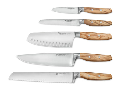 WÜSTHOF Amici 6-Piece Knife Block Set