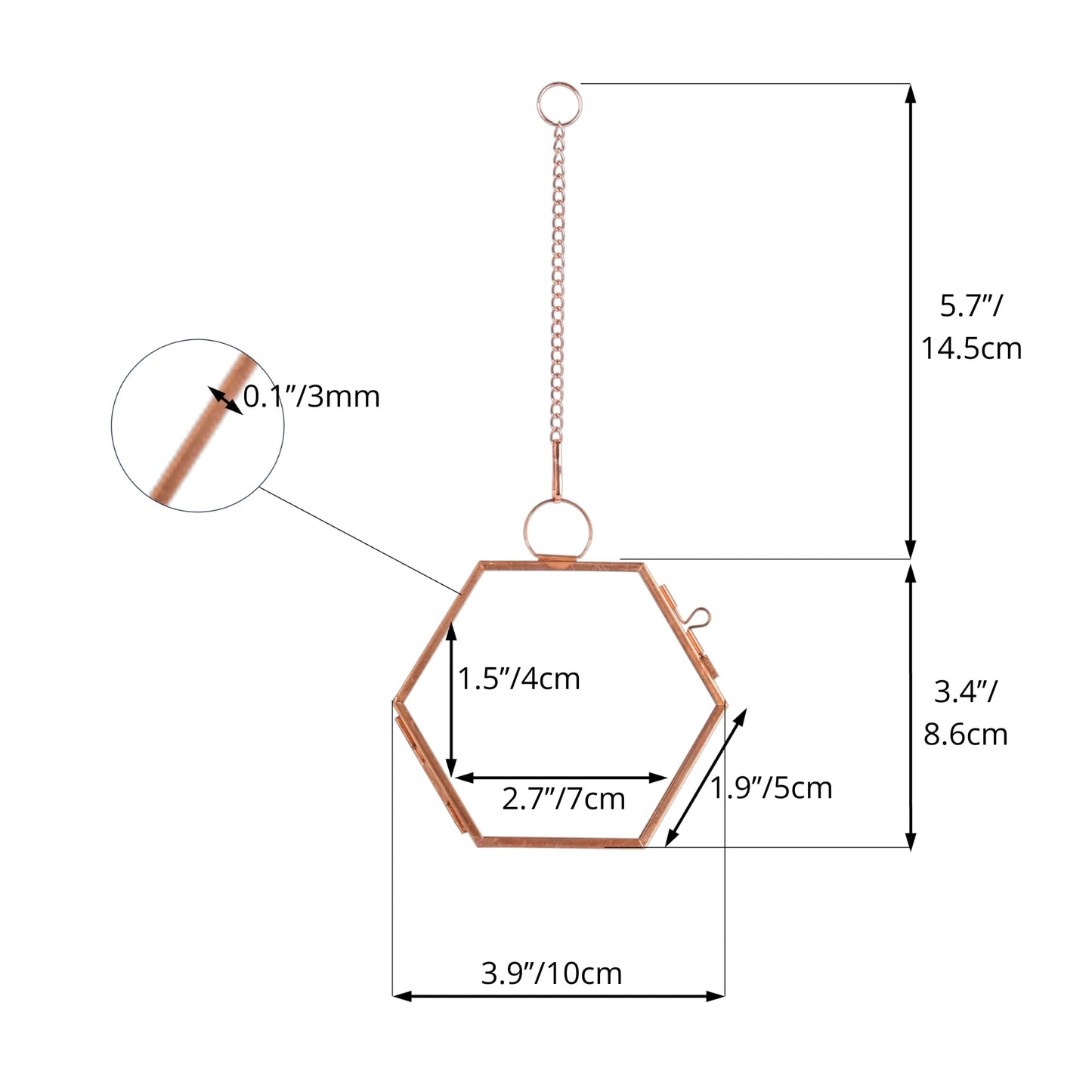 NCYP Hanging Small Rose Gold Hexagon Herbarium, Side Length 1.9 inches Handmade Copper Floating Frame for Pressed Dried Flowers Plants, Double Glass, Wall Decor, Glass Frame Only