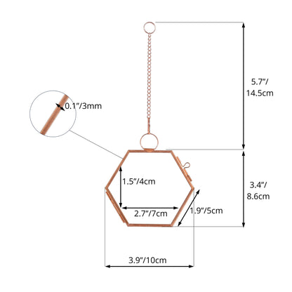 NCYP Hanging Small Rose Gold Hexagon Herbarium, Side Length 1.9 inches Handmade Copper Floating Frame for Pressed Dried Flowers Plants, Double Glass, Wall Decor, Glass Frame Only