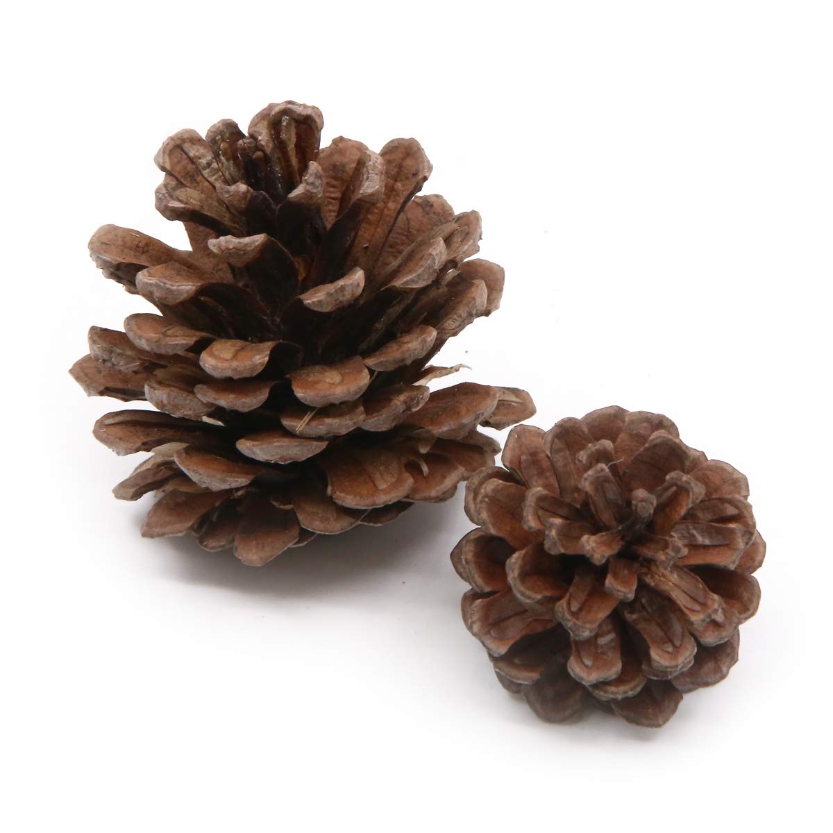 Apol Total 120 Pcs Artificial Acorns and Natural Pinecones Ornament Set for Home House Christmas Decoration Photo Props