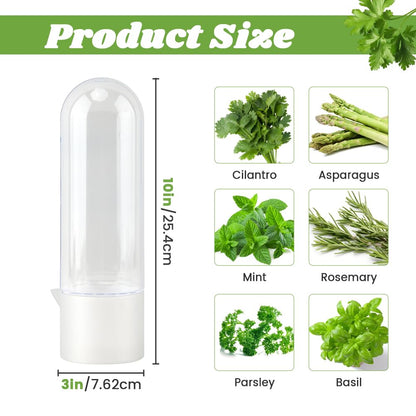 DiQiRenQin 3 Pack Cilantro Container for Fridge, Vertical Herb Keeper for Refrigerator, ABS Herb Saver for Fresh Herbs (Parsley, Mint), White