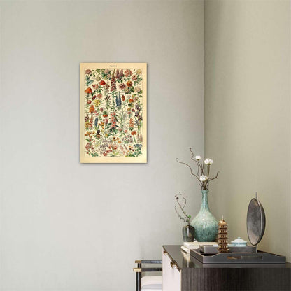 Meishe Art Vintage Poster Print - Flower Floral Botanical Collections Garden Flowers Identification Reference Chart