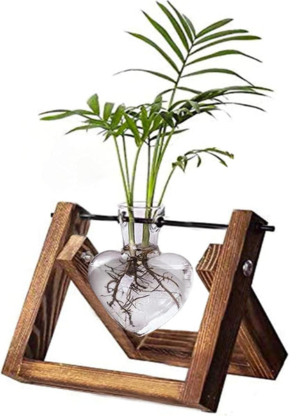 1 Kingbuy Terrarium with Wooden Stand, Desktop Propagation Station, Air Plant Holder, Metal Swivel Holder
