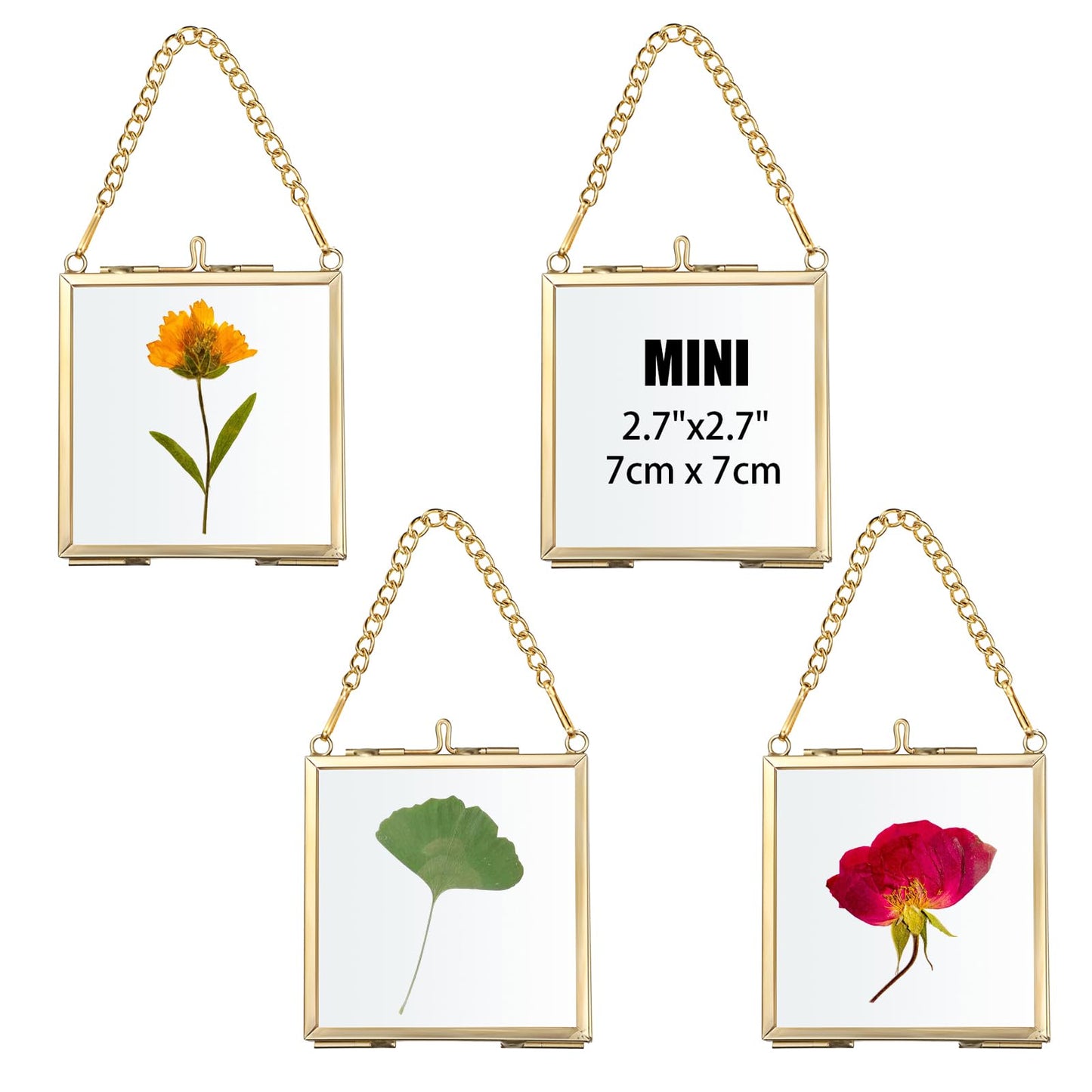 JUXYES 4 Pack Wall Hanging Mini Brass Frames for Pressed Flowers Art, Square Glass Hanging Dried Flowerss Artwork Display Frame, Double Glass Floating Style Gallery Wall Frame for Picture, Pressed Flower, etc