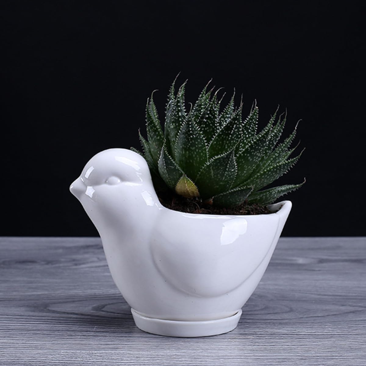 Beaupretty White Ceramic Bird Shaped Succulent Plant Pot with Tray Small Indoor Flower Container Desktop Decor for Home Office Gardening