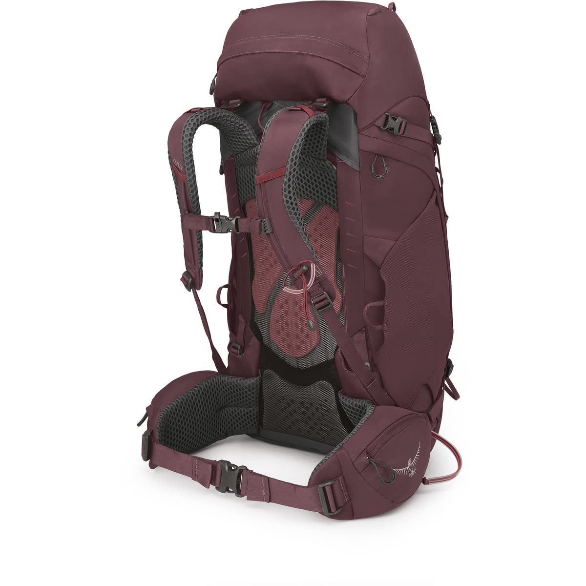 Osprey Kyte 48L Women's Backpacking Backpack with Hipbelt, Elderberry Purple, WXS/S