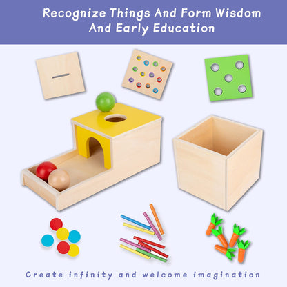 Adena Montessori 4 in 1 Wooden Play Kit Baby Toys,Object Permanence Box,Matchstick Color Drop Game,Carrot Harvest and Coin Box,Ball Drop Toy for Kid 1,2,3 Year Old,Girl Boy Gift for Baby 6-12 Month