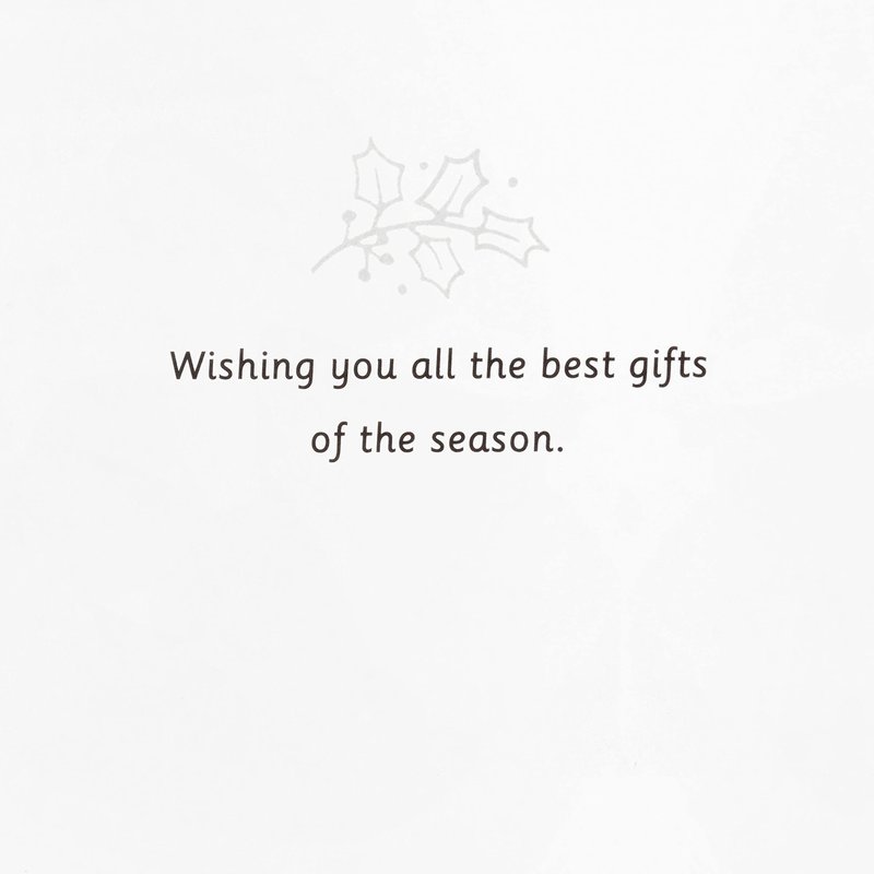 Hallmark UNICEF Boxed Christmas Cards Assortment, Wonder and Peace (12 Cards and 13 Envelopes)